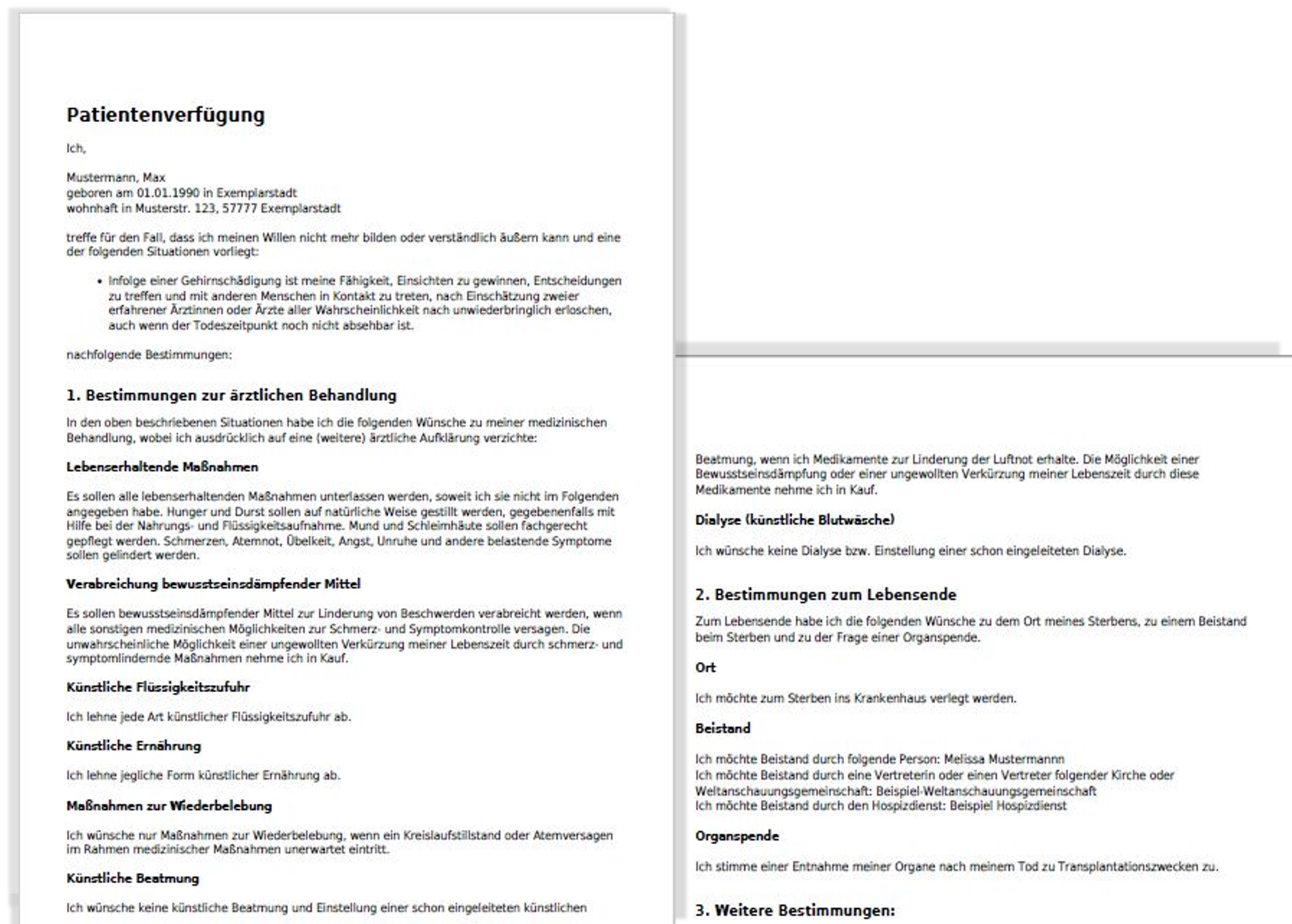 Beispiel der fertigen PDF der Patientenverfügung - Zur selbstbestimmten Behandlung im Falle der Entscheidungsunfähigkeit